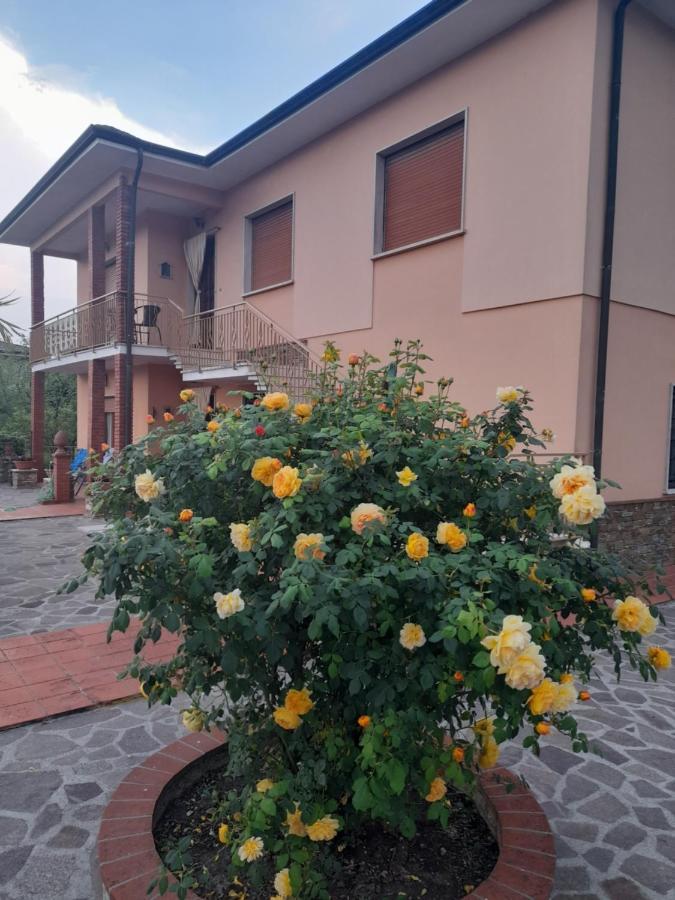 Villa Casa Camelia Capannori Exterior foto